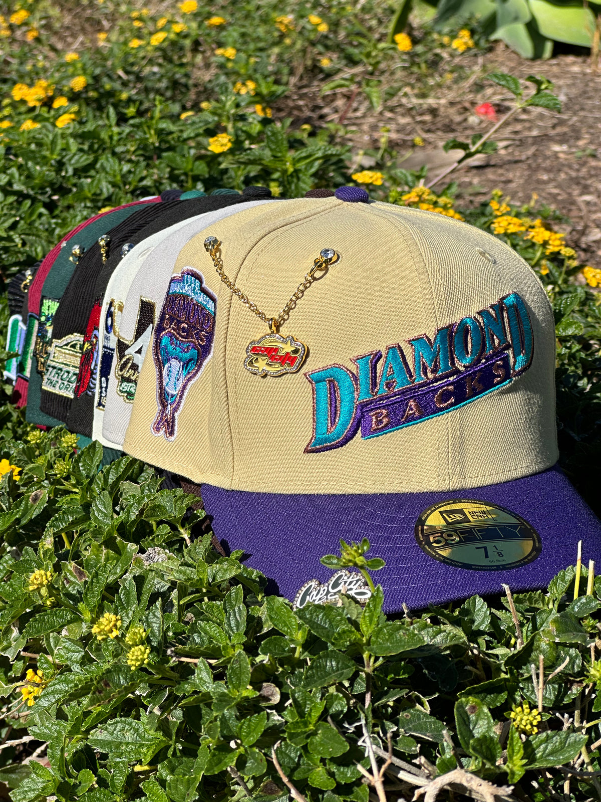 ARIZONA DIAMONBACKS