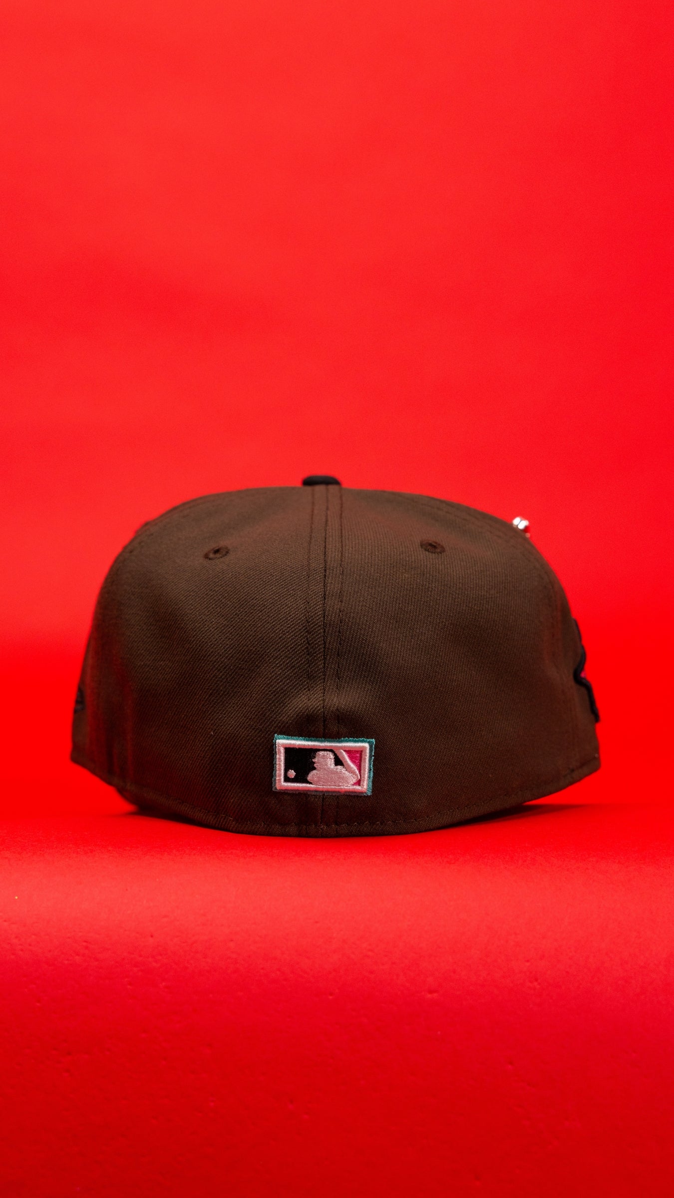TAMPA BAY RAYS